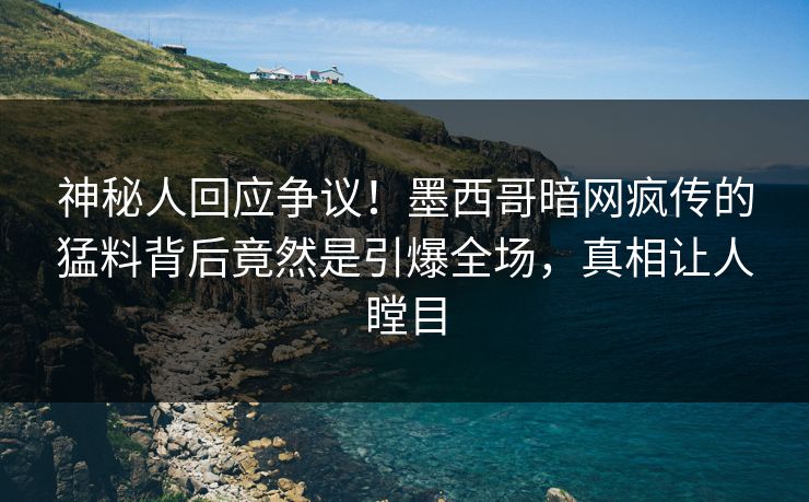 神秘人回应争议！墨西哥暗网疯传的猛料背后竟然是引爆全场，真相让人瞠目