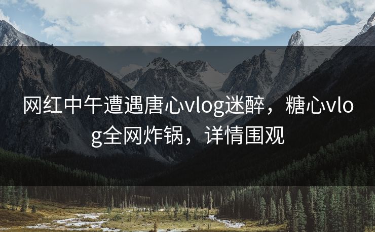 网红中午遭遇唐心vlog迷醉，糖心vlog全网炸锅，详情围观