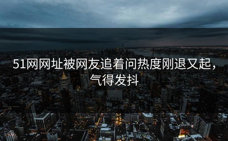 51网网址被网友追着问热度刚退又起，气得发抖
